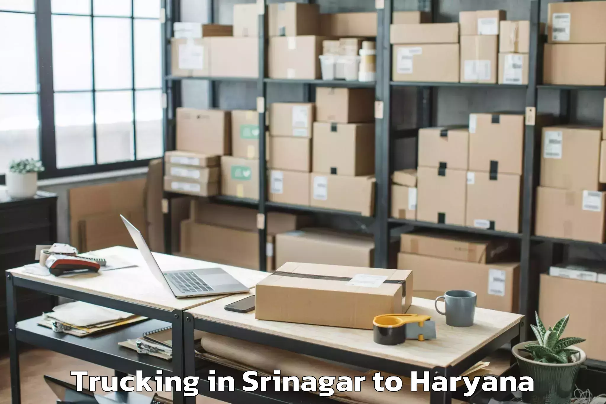 Professional Srinagar to Narnaul Trucking